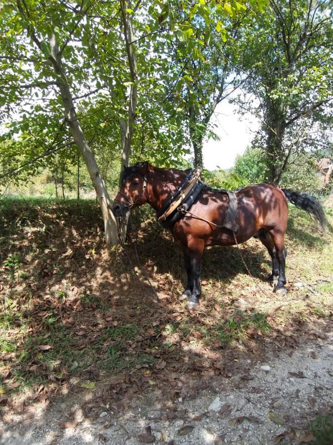 Country House Bihac Bagian luar foto